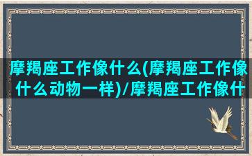 摩羯座工作像什么(摩羯座工作像什么动物一样)/摩羯座工作像什么(摩羯座工作像什么动物一样)-我的网站