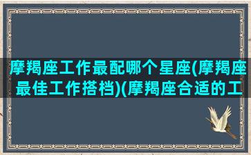 摩羯座工作最配哪个星座(摩羯座最佳工作搭档)(摩羯座合适的工作)