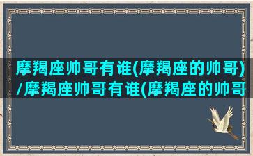 摩羯座帅哥有谁(摩羯座的帅哥)/摩羯座帅哥有谁(摩羯座的帅哥)-我的网站