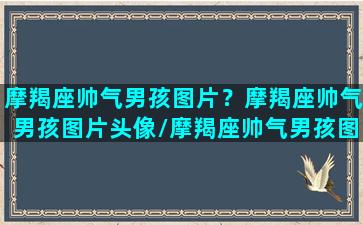 摩羯座帅气男孩图片？摩羯座帅气男孩图片头像/摩羯座帅气男孩图片？摩羯座帅气男孩图片头像-我的网站