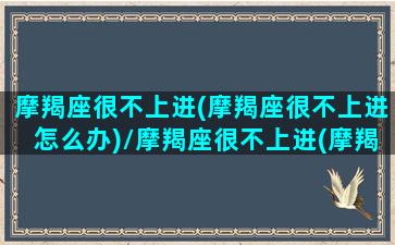 摩羯座很不上进(摩羯座很不上进怎么办)/摩羯座很不上进(摩羯座很不上进怎么办)-我的网站