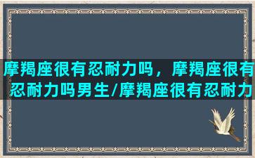 摩羯座很有忍耐力吗，摩羯座很有忍耐力吗男生/摩羯座很有忍耐力吗，摩羯座很有忍耐力吗男生-我的网站