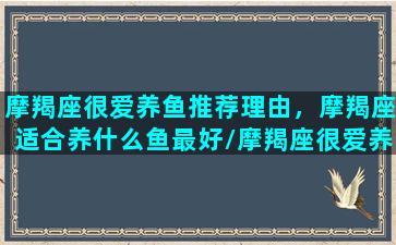 摩羯座很爱养鱼推荐理由，摩羯座适合养什么鱼最好/摩羯座很爱养鱼推荐理由，摩羯座适合养什么鱼最好-我的网站