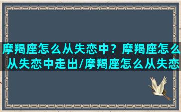 摩羯座怎么从失恋中？摩羯座怎么从失恋中走出/摩羯座怎么从失恋中？摩羯座怎么从失恋中走出-我的网站