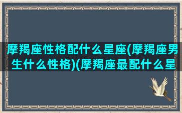 摩羯座性格配什么星座(摩羯座男生什么性格)(摩羯座最配什么星座男生)