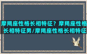 摩羯座性格长相特征？摩羯座性格长相特征男/摩羯座性格长相特征？摩羯座性格长相特征男-我的网站