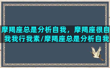 摩羯座总是分析自我，摩羯座很自我我行我素/摩羯座总是分析自我，摩羯座很自我我行我素-我的网站