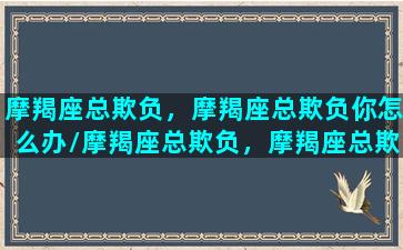 摩羯座总欺负，摩羯座总欺负你怎么办/摩羯座总欺负，摩羯座总欺负你怎么办-我的网站