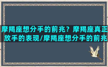 摩羯座想分手的前兆？摩羯座真正放手的表现/摩羯座想分手的前兆？摩羯座真正放手的表现-我的网站