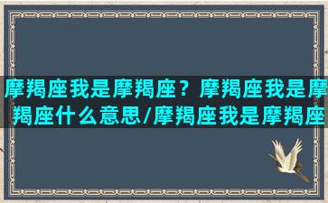 摩羯座我是摩羯座？摩羯座我是摩羯座什么意思/摩羯座我是摩羯座？摩羯座我是摩羯座什么意思-我的网站