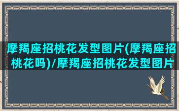 摩羯座招桃花发型图片(摩羯座招桃花吗)/摩羯座招桃花发型图片(摩羯座招桃花吗)-我的网站