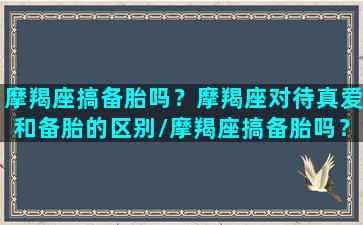 摩羯座搞备胎吗？摩羯座对待真爱和备胎的区别/摩羯座搞备胎吗？摩羯座对待真爱和备胎的区别-我的网站