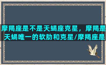 摩羯座是不是天蝎座克星，摩羯是天蝎唯一的软肋和克星/摩羯座是不是天蝎座克星，摩羯是天蝎唯一的软肋和克星-我的网站