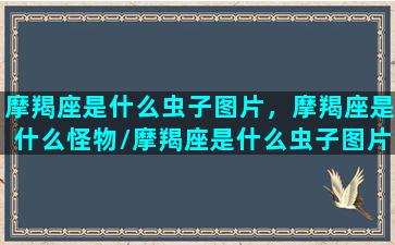 摩羯座是什么虫子图片，摩羯座是什么怪物/摩羯座是什么虫子图片，摩羯座是什么怪物-我的网站