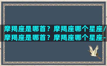 摩羯座是哪首？摩羯座哪个星座/摩羯座是哪首？摩羯座哪个星座-我的网站