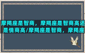 摩羯座是智商，摩羯座是智商高还是情商高/摩羯座是智商，摩羯座是智商高还是情商高-我的网站