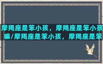 摩羯座是笨小孩，摩羯座是笨小孩嘛/摩羯座是笨小孩，摩羯座是笨小孩嘛-我的网站