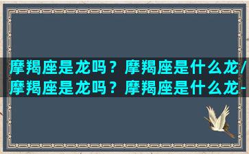 摩羯座是龙吗？摩羯座是什么龙/摩羯座是龙吗？摩羯座是什么龙-我的网站