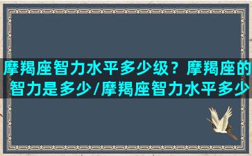 摩羯座智力水平多少级？摩羯座的智力是多少/摩羯座智力水平多少级？摩羯座的智力是多少-我的网站