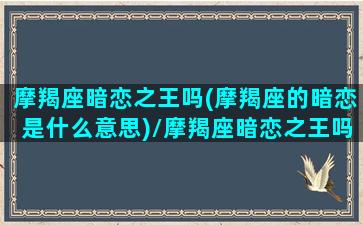 摩羯座暗恋之王吗(摩羯座的暗恋是什么意思)/摩羯座暗恋之王吗(摩羯座的暗恋是什么意思)-我的网站