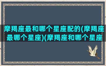 摩羯座最和哪个星座配的(摩羯座最哪个星座)(摩羯座和哪个星座最搭)