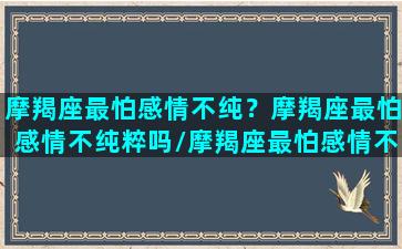 摩羯座最怕感情不纯？摩羯座最怕感情不纯粹吗/摩羯座最怕感情不纯？摩羯座最怕感情不纯粹吗-我的网站