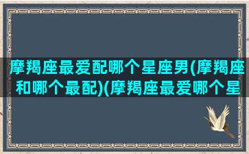 摩羯座最爱配哪个星座男(摩羯座和哪个最配)(摩羯座最爱哪个星座交往)