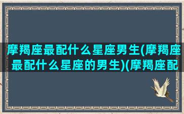 摩羯座最配什么星座男生(摩羯座最配什么星座的男生)(摩羯座配什么星座最适合)