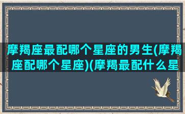 摩羯座最配哪个星座的男生(摩羯座配哪个星座)(摩羯最配什么星座男)