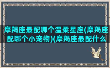 摩羯座最配哪个温柔星座(摩羯座配哪个小宠物)(摩羯座最配什么宠物)