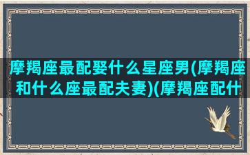 摩羯座最配娶什么星座男(摩羯座和什么座最配夫妻)(摩羯座配什么座的男生)