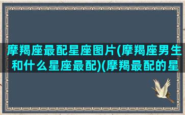 摩羯座最配星座图片(摩羯座男生和什么星座最配)(摩羯最配的星座男)