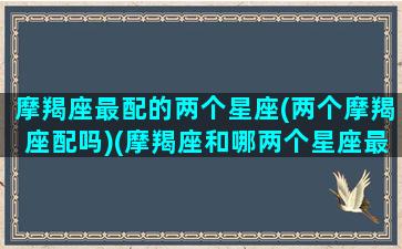 摩羯座最配的两个星座(两个摩羯座配吗)(摩羯座和哪两个星座最配)