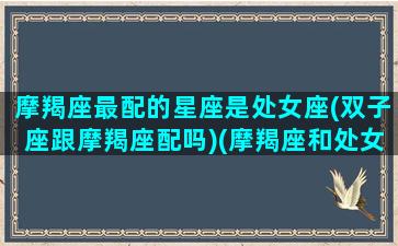 摩羯座最配的星座是处女座(双子座跟摩羯座配吗)(摩羯座和处女座绝配)