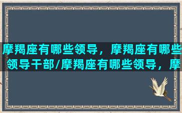 摩羯座有哪些领导，摩羯座有哪些领导干部/摩羯座有哪些领导，摩羯座有哪些领导干部-我的网站