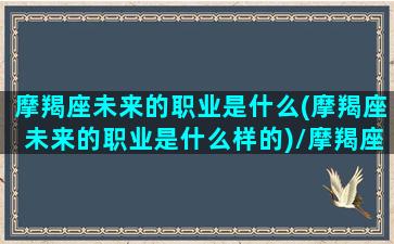 摩羯座未来的职业是什么(摩羯座未来的职业是什么样的)/摩羯座未来的职业是什么(摩羯座未来的职业是什么样的)-我的网站