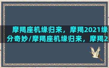 摩羯座机缘归来，摩羯2021缘分奇妙/摩羯座机缘归来，摩羯2021缘分奇妙-我的网站