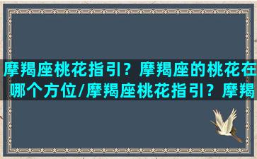 摩羯座桃花指引？摩羯座的桃花在哪个方位/摩羯座桃花指引？摩羯座的桃花在哪个方位-我的网站