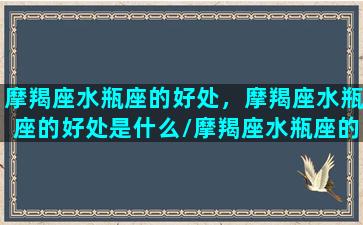 摩羯座水瓶座的好处，摩羯座水瓶座的好处是什么/摩羯座水瓶座的好处，摩羯座水瓶座的好处是什么-我的网站