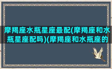 摩羯座水瓶星座最配(摩羯座和水瓶星座配吗)(摩羯座和水瓶座的匹配度是多少)