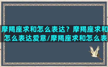 摩羯座求和怎么表达？摩羯座求和怎么表达爱意/摩羯座求和怎么表达？摩羯座求和怎么表达爱意-我的网站