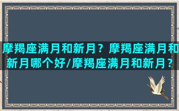 摩羯座满月和新月？摩羯座满月和新月哪个好/摩羯座满月和新月？摩羯座满月和新月哪个好-我的网站