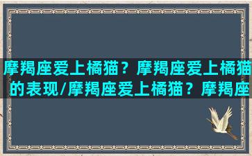 摩羯座爱上橘猫？摩羯座爱上橘猫的表现/摩羯座爱上橘猫？摩羯座爱上橘猫的表现-我的网站