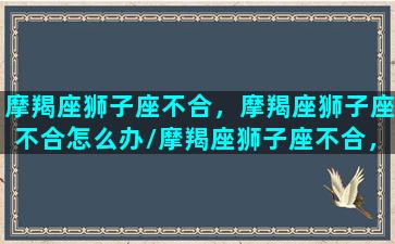 摩羯座狮子座不合，摩羯座狮子座不合怎么办/摩羯座狮子座不合，摩羯座狮子座不合怎么办-我的网站