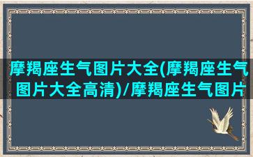 摩羯座生气图片大全(摩羯座生气图片大全高清)/摩羯座生气图片大全(摩羯座生气图片大全高清)-我的网站