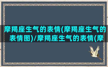 摩羯座生气的表情(摩羯座生气的表情图)/摩羯座生气的表情(摩羯座生气的表情图)-我的网站