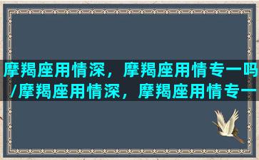 摩羯座用情深，摩羯座用情专一吗/摩羯座用情深，摩羯座用情专一吗-我的网站