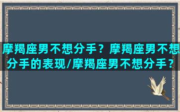 摩羯座男不想分手？摩羯座男不想分手的表现/摩羯座男不想分手？摩羯座男不想分手的表现-我的网站