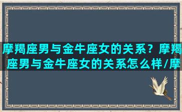 摩羯座男与金牛座女的关系？摩羯座男与金牛座女的关系怎么样/摩羯座男与金牛座女的关系？摩羯座男与金牛座女的关系怎么样-我的网站