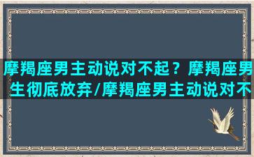 摩羯座男主动说对不起？摩羯座男生彻底放弃/摩羯座男主动说对不起？摩羯座男生彻底放弃-我的网站